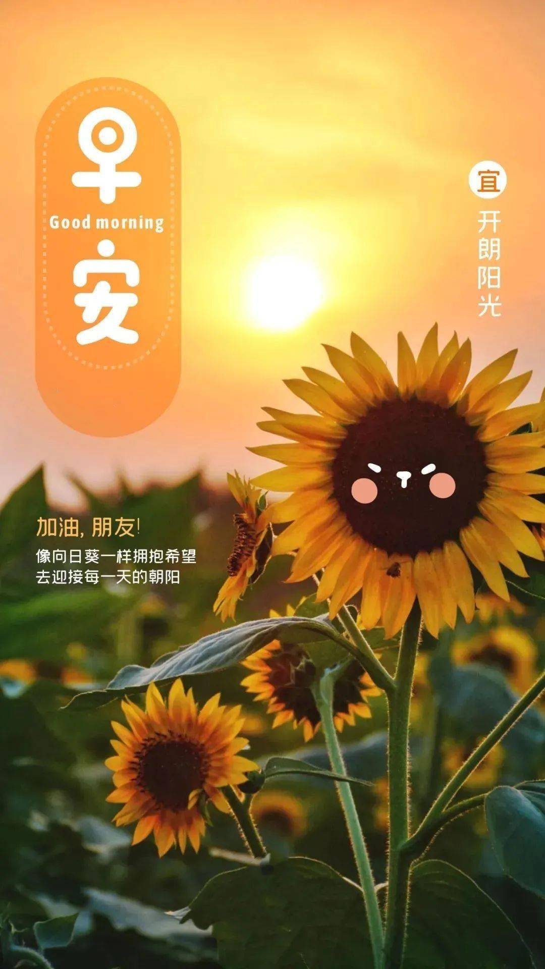 2023年最走心的人生哲理感悟短句 抖音微信正能量早安心語圖片文案