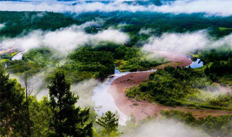 内蒙古根河:创建"自治区森林城市"_生态_面积_规划