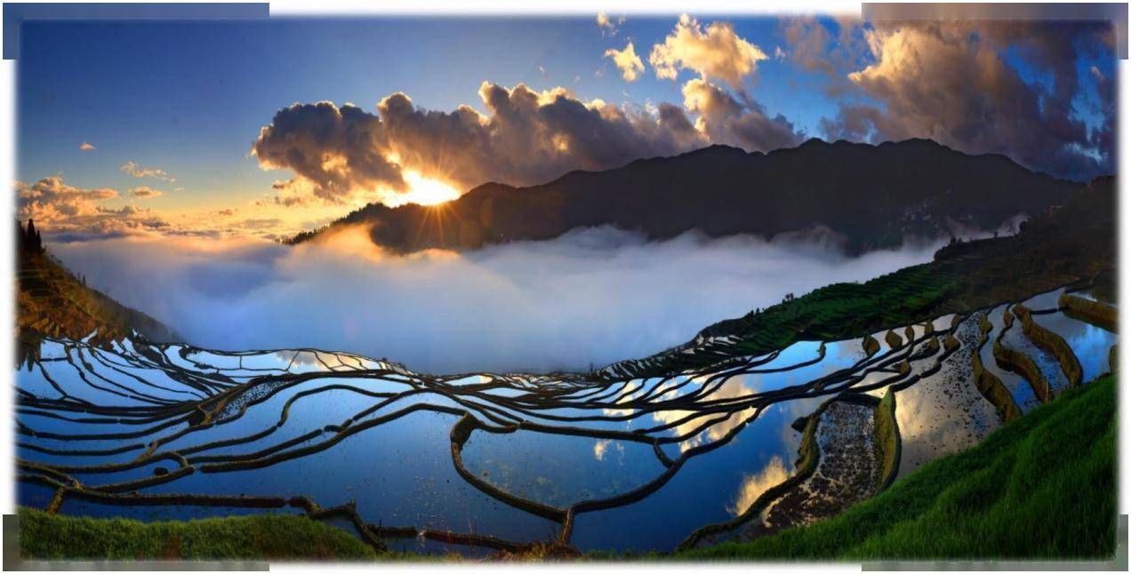 哈尼好物彰显云南本味 红河县区域公共品牌"密姹红河谷"正式发布_梯田