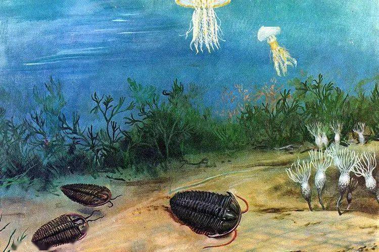 的本能,延续与进化"——基础生命科学 主讲人:张金红_细胞_生物_免疫