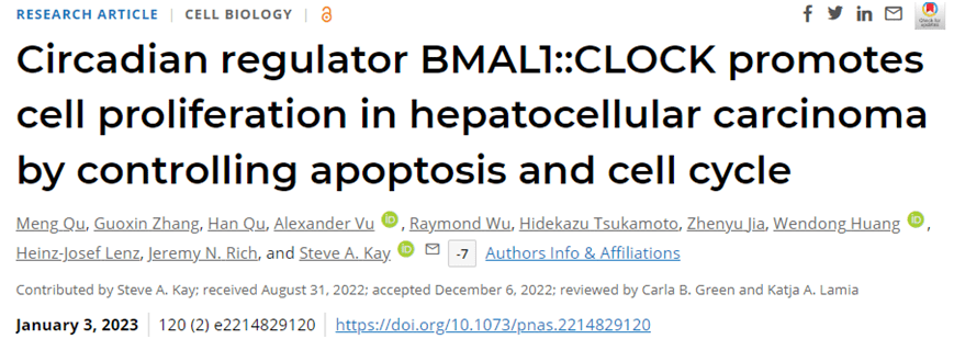 PNAS：揭示肝癌细胞劫持生物钟蛋白进行增殖和扩散机制