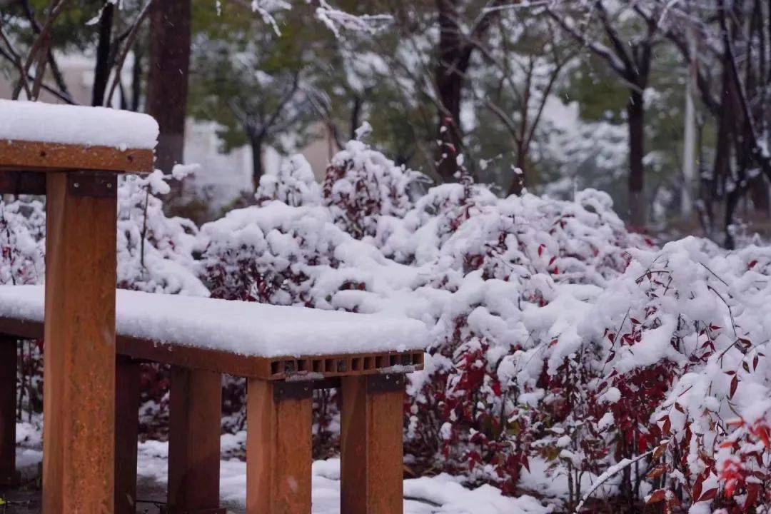 冬日的浪漫,就是與民大一起看雪_世界_南湖_天空