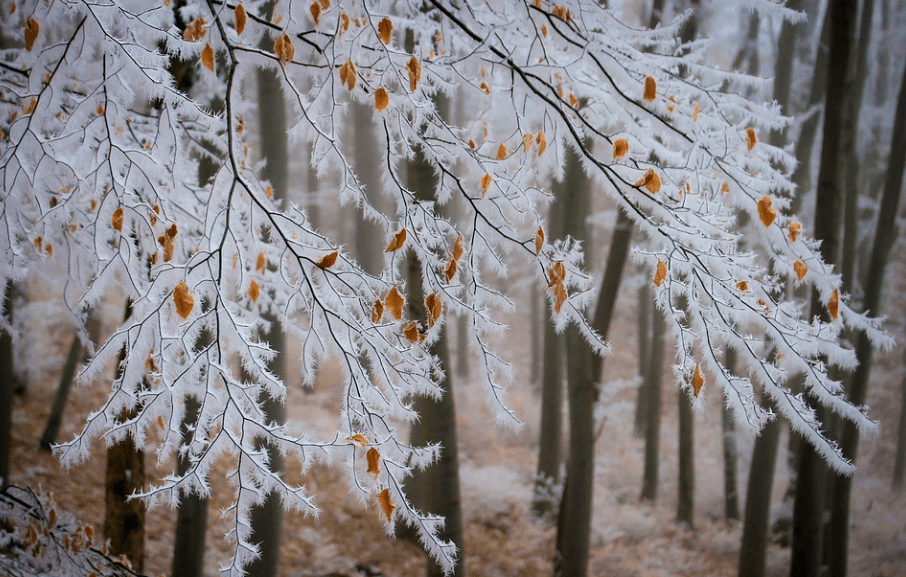 01,担雪塞井【出处】唐·顾况《行路难三首·其一:君不见担雪塞井空