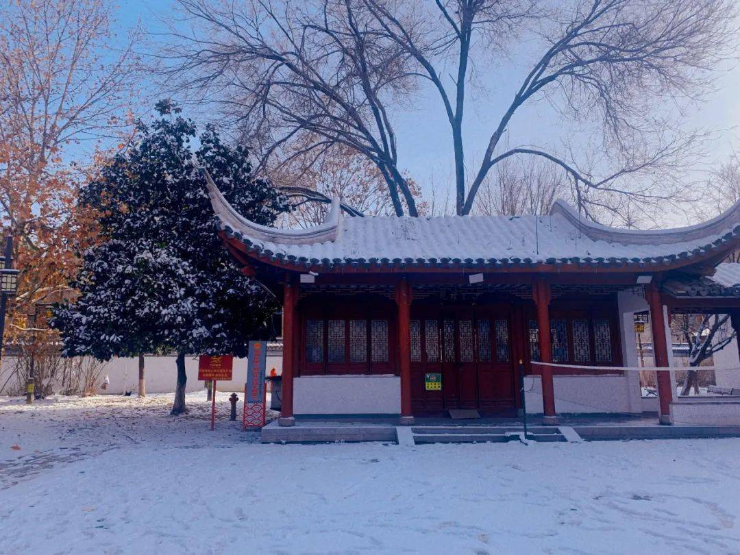 阜陽!這組雪景美如畫!積雪最深處是這裡…_文峰公園_預計未來_餘亮