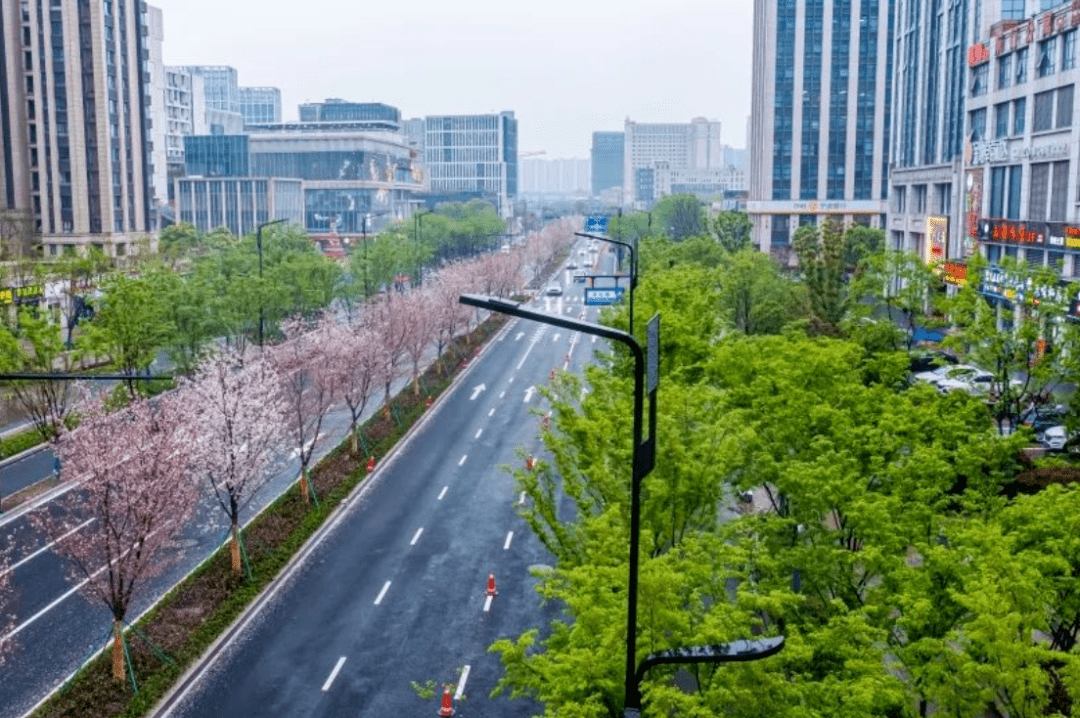 "迎亚运"示范!余杭5条道路大变样!_建设_城市_环境
