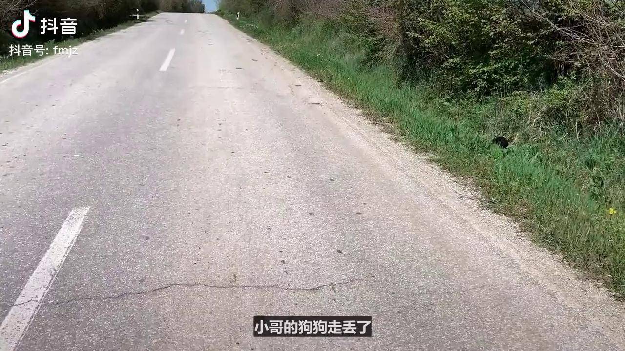 黑狗为爱离家出走,却成了流浪狗妈,1个月后主人在路边了发现它 萌宠