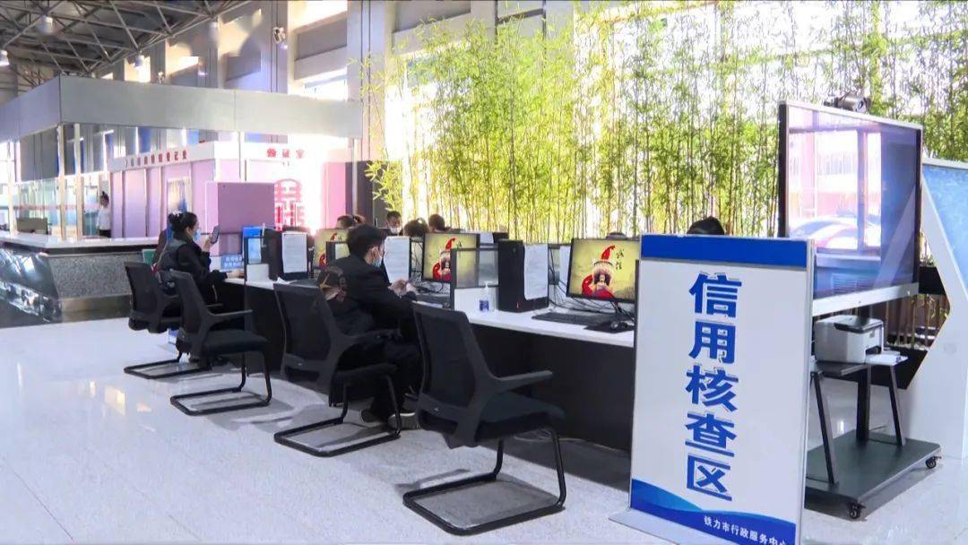 残疾证网上办理_铁力市数字赋能政务服务_铁力市政务公开