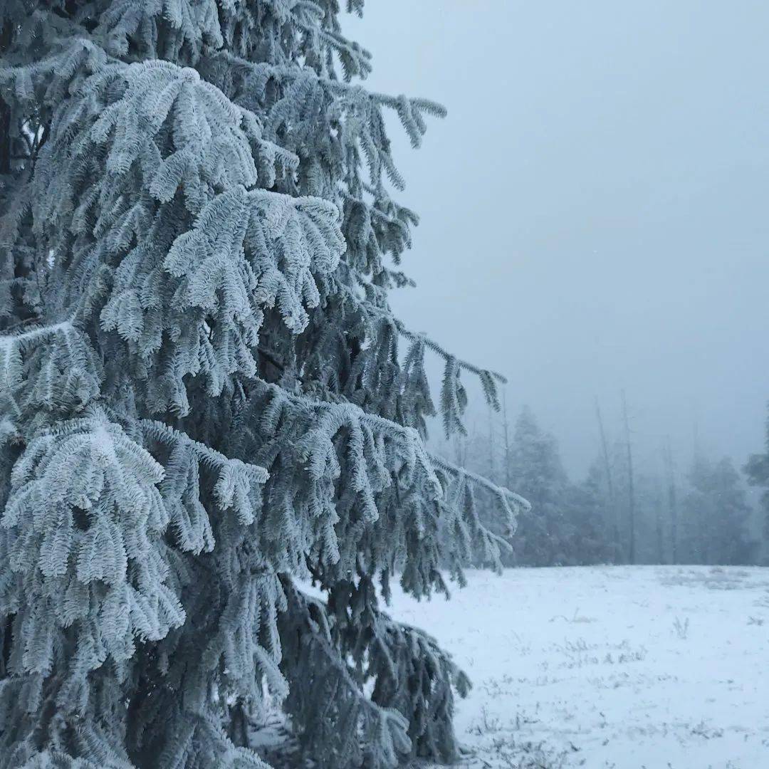 秀山已经准备好,快来川河盖赏2023年的第一场雪啊!