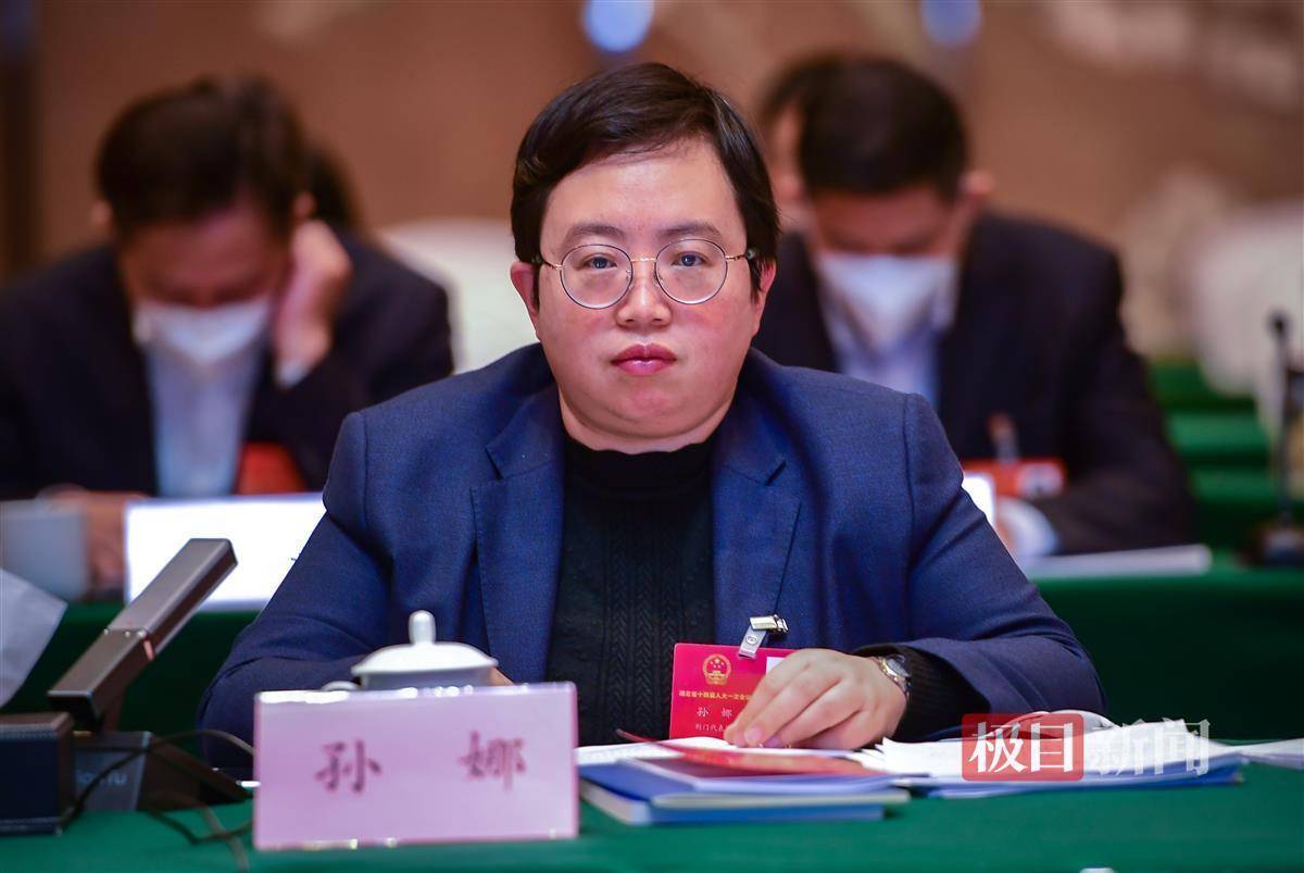 湖北省人大代表孙娜:推动航空产业新型研发模式创新_荆门_通用_建设