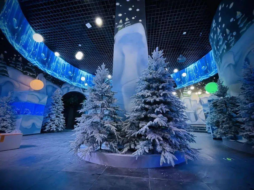 omg海洋部落,亚奥家门口的超大水族馆,快来玩!_活动_区域_带回家