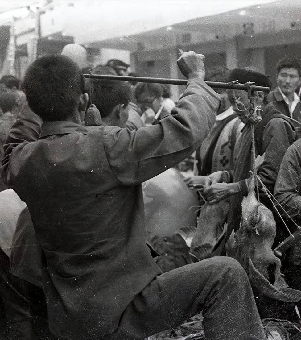 大年三十还有穷人集:许昌人忆50多年前的赶集_东西_范湖_公路