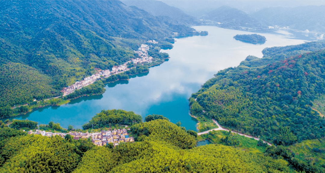 吕田镇第二届李花旅游文化节正式开幕_特色_乡村_从化