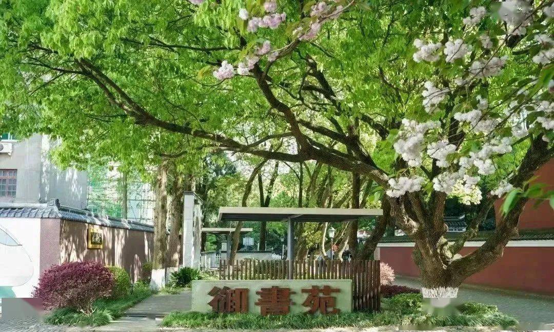 定海一中的"学生成长导师制"德育品牌荣获"舟山市首批十大德育品牌"