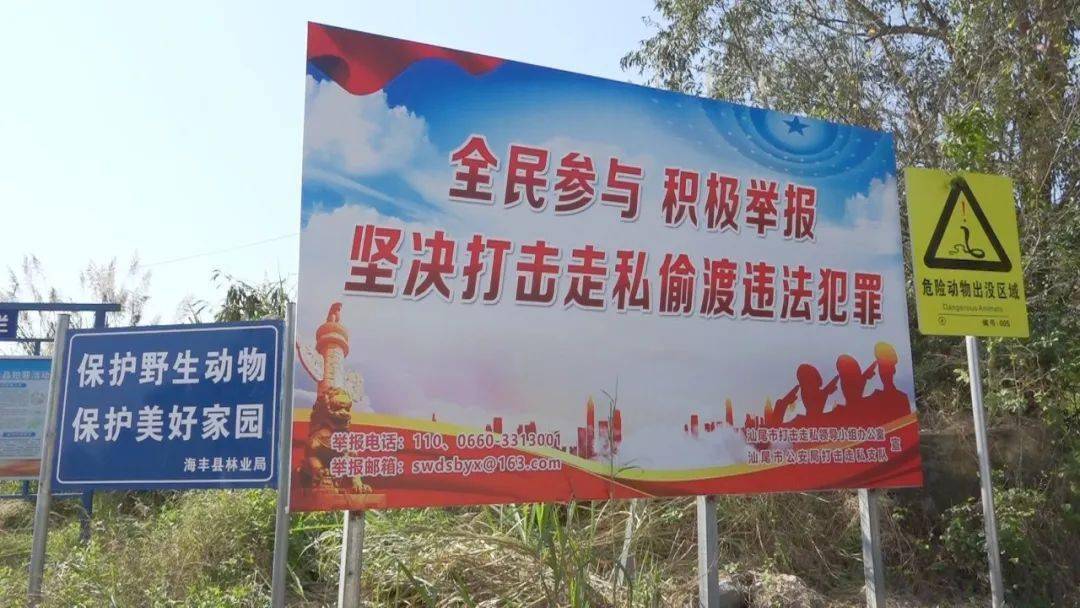 海丰县开展反偷渡反走私.