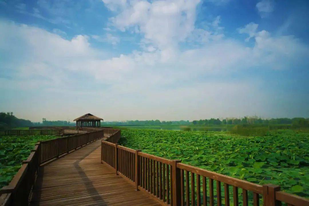 天鹅湖温泉国际慢城是风景优美的避暑之地是静谧安然的温柔湿地是五颜