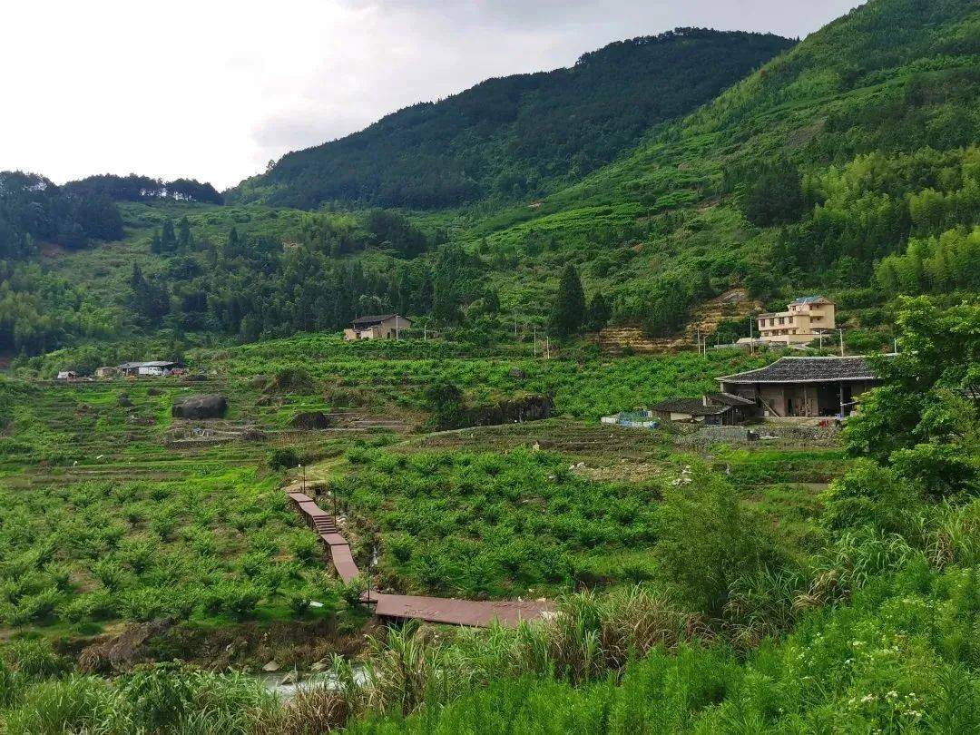 永康塘里村风景介绍图片