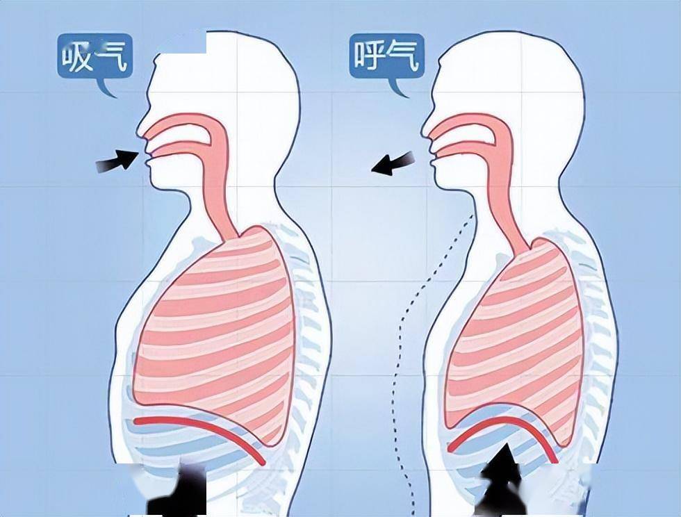 男生头埋在脖子吸气图片