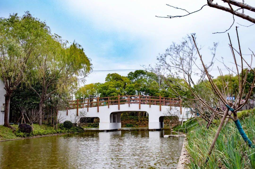 新年来这里,崇明这个景区全是新玩法|爱申活暖心春_东村_旅游地_村里