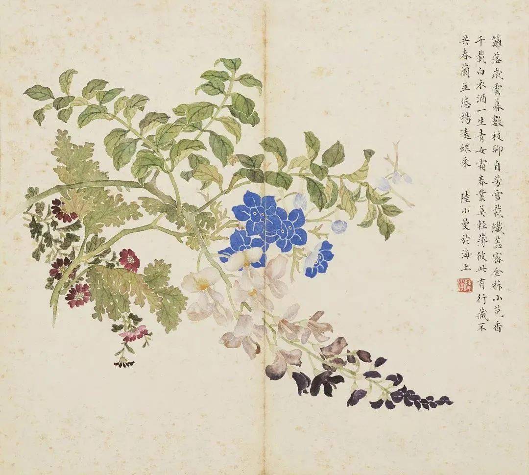 花卉 陸小曼 陆小曼：万寿恒春花卉册_搜狐网
