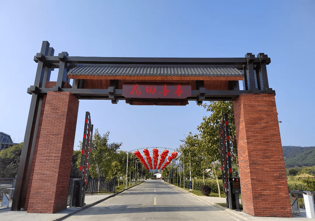 来高明开启乡野拾趣之旅丨春节潮玩高明④_花田_喜事_园区