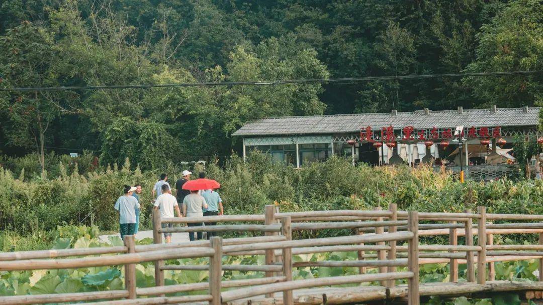 馮家頂祥源61祁紅產業文化博覽園歷溪景區牯牛降景區等你來一一打卡