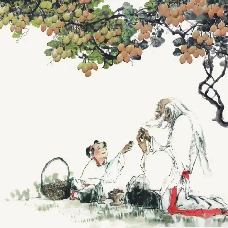 早在《诗经·桧风》中,便有关于猕猴桃的描写:"隰有苌楚,猗傩其枝.