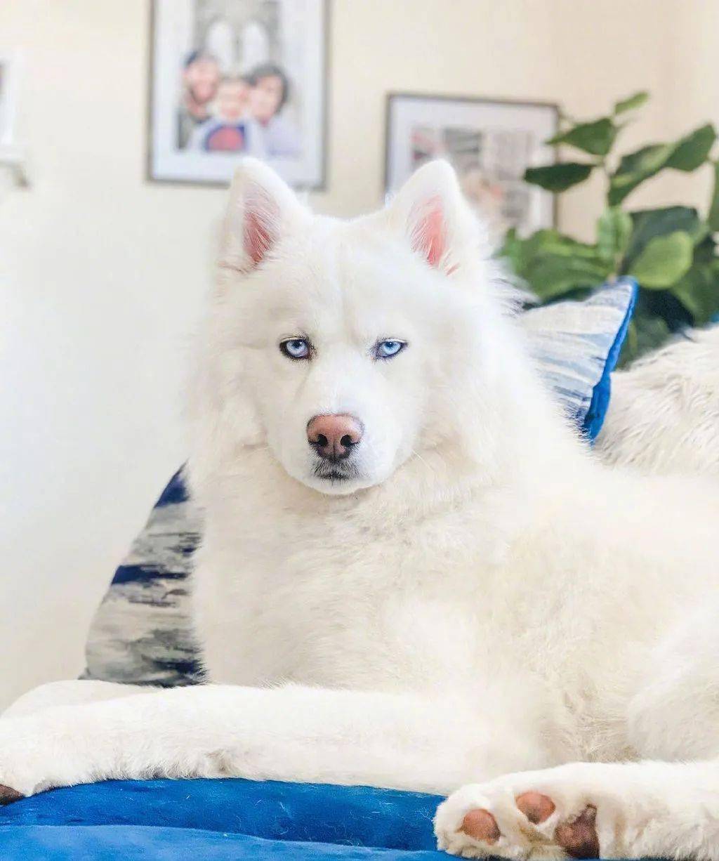 噗哈哈哈这就是个照骗啊!_感觉_眼睛_神坛