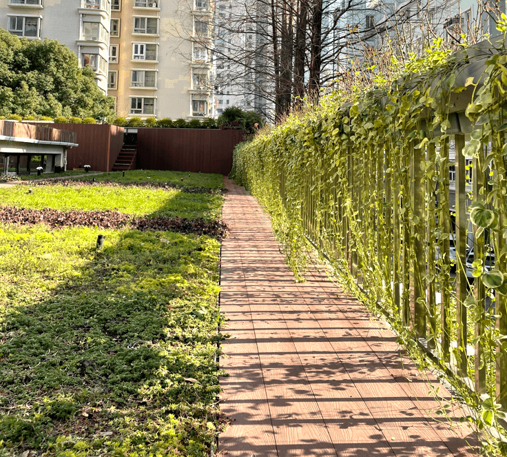 营造多维绿化景观:走进石门二路街道立体绿化_静安区_设施_建设