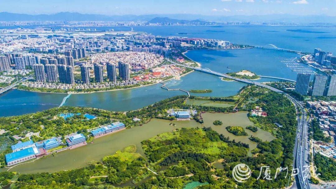 从一片滩涂到世界湾区!谁是五缘湾崛起的强力推手?_文化_建设者_厦门