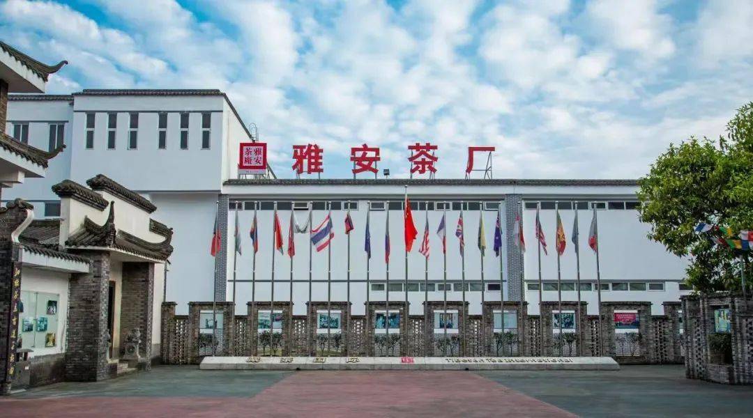 雅安茶厂