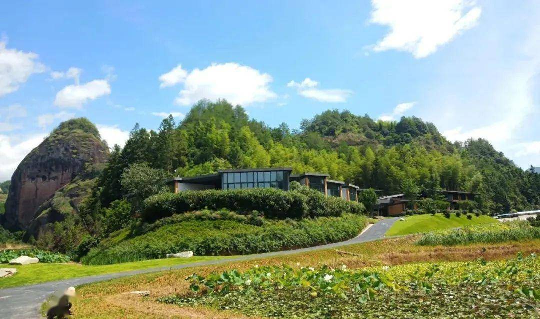 李家岩耕读李家上午:游耕读李家,稻田咖啡馆(登李家岩祈福,静心书院