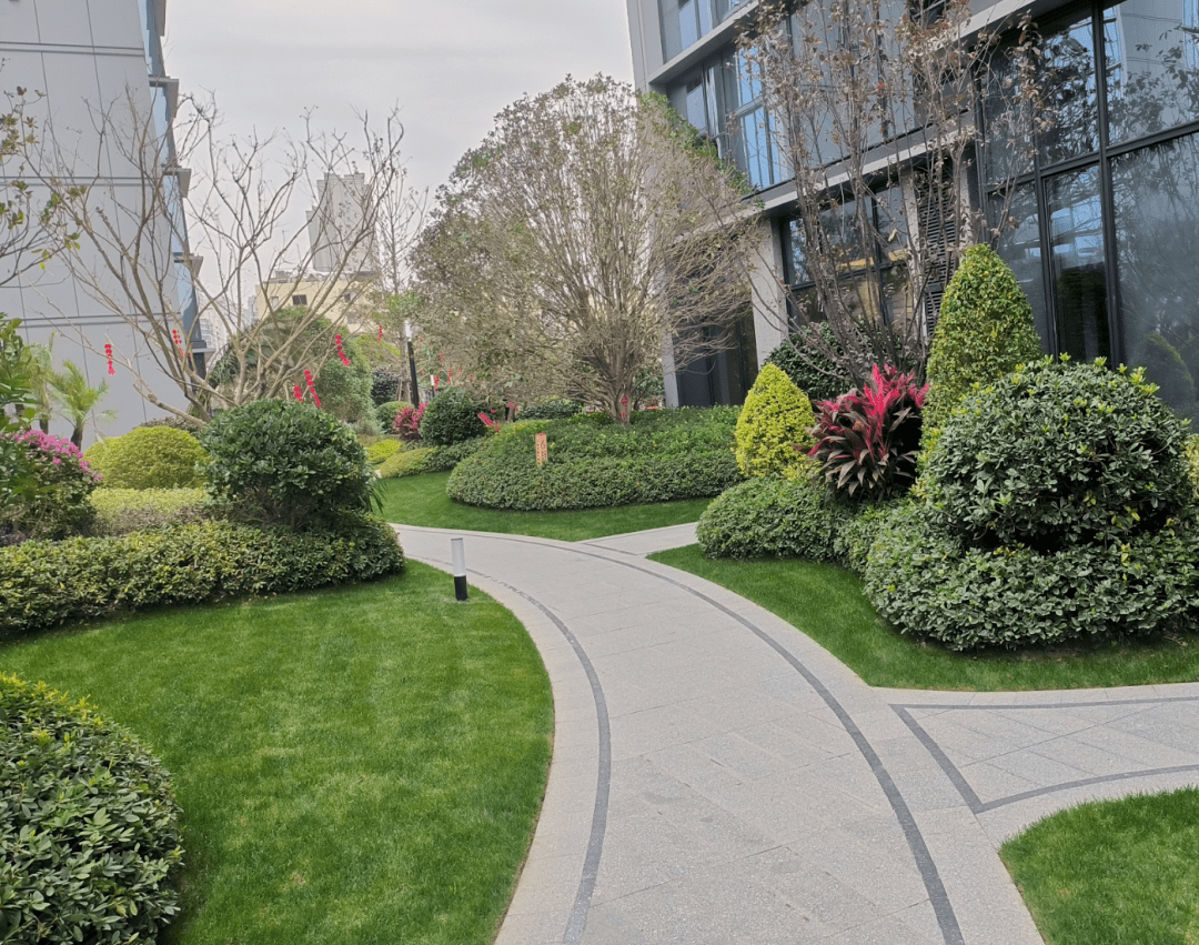 灌木色带,一样饱满的坡度,一样圆润的曲面:弧形的铺砖饰面,一样的严丝