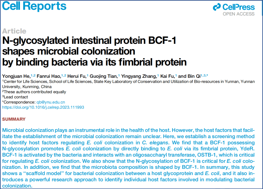 【科研】生命科学中心祁斌课题组在Cell Reports上发表论文揭示宿主糖基化蛋白BCF-1调节细菌定植的机制_研究_肠道