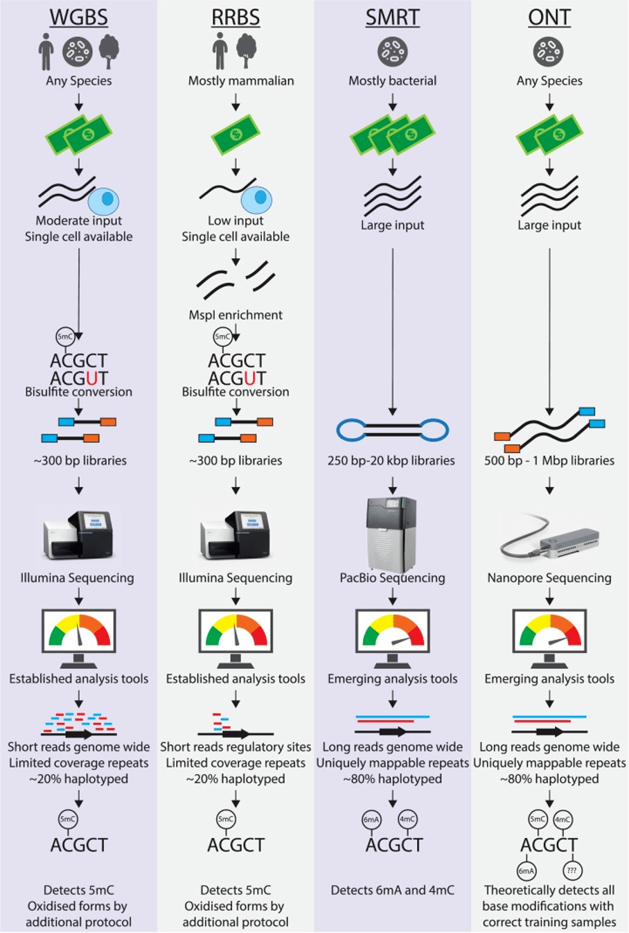 acnes)噬菌體的選擇engineering selectivity of cutibacterium acnes