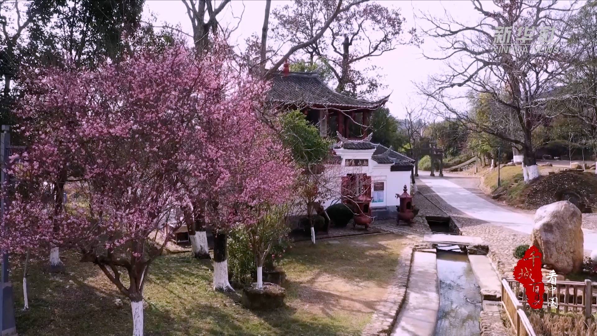 千城百县看中国｜福建连城：闻香寻梅 遨游古村