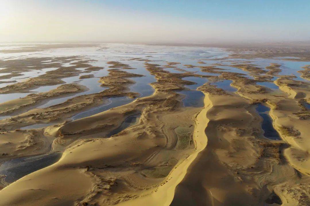 水库淤泥影响防洪?有招可解_乌海市_黄河_泥沙