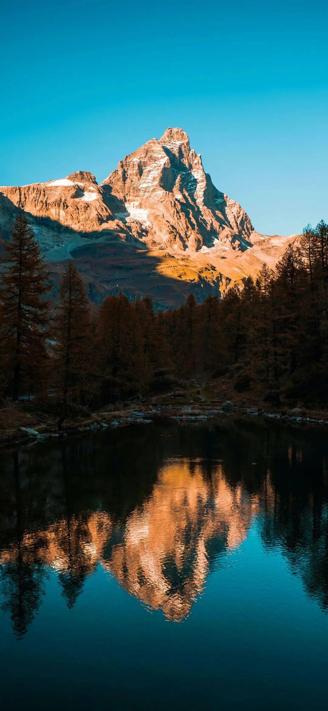 壁纸| 今日高清壁纸推荐yyds