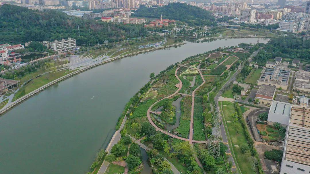 湿地公园燕罗湿地公园误入花海深处还能看到几只小螃蟹横行霸道在岸边