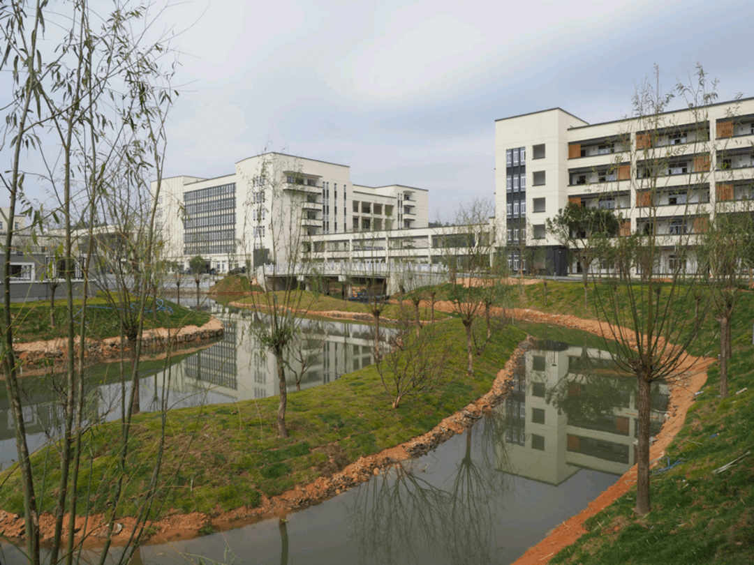 感恩母校行(70)|走进浙江省温州市苍南县灵溪中学_进行_活动_文化