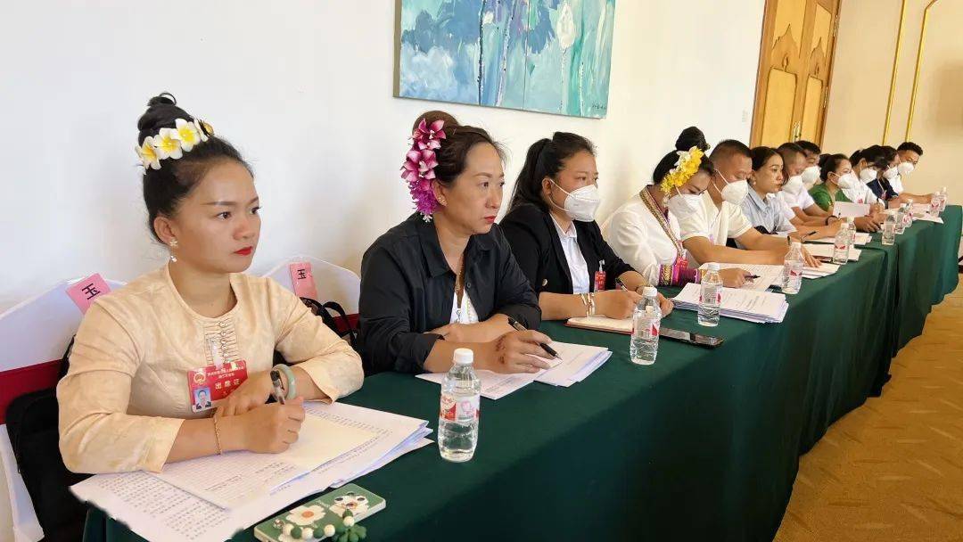 永明,白兰,刀应祥,鲁怀,黄新等景洪市党政领导参加人大各代表分团审议