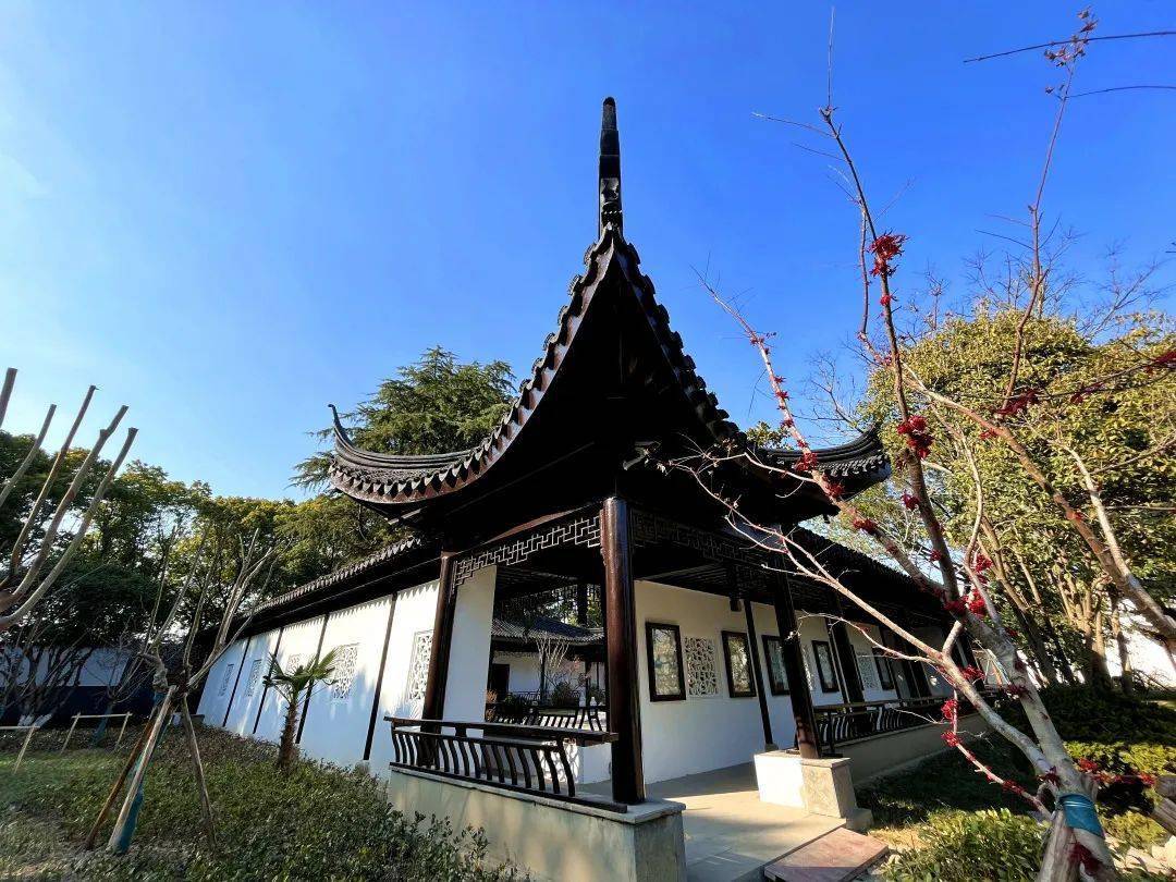 扮"靓"历史文化,少卿苑全新开园!_公园_千灯镇_改造