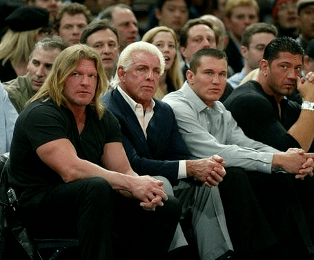 WWE进化军团图片