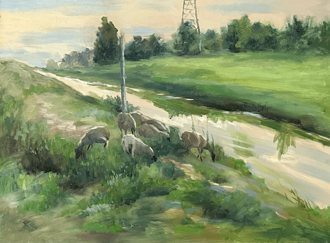 展讯|"家乡美"乡村振兴油画作品巡回展(宁夏站)下篇_cm_银川市_展览