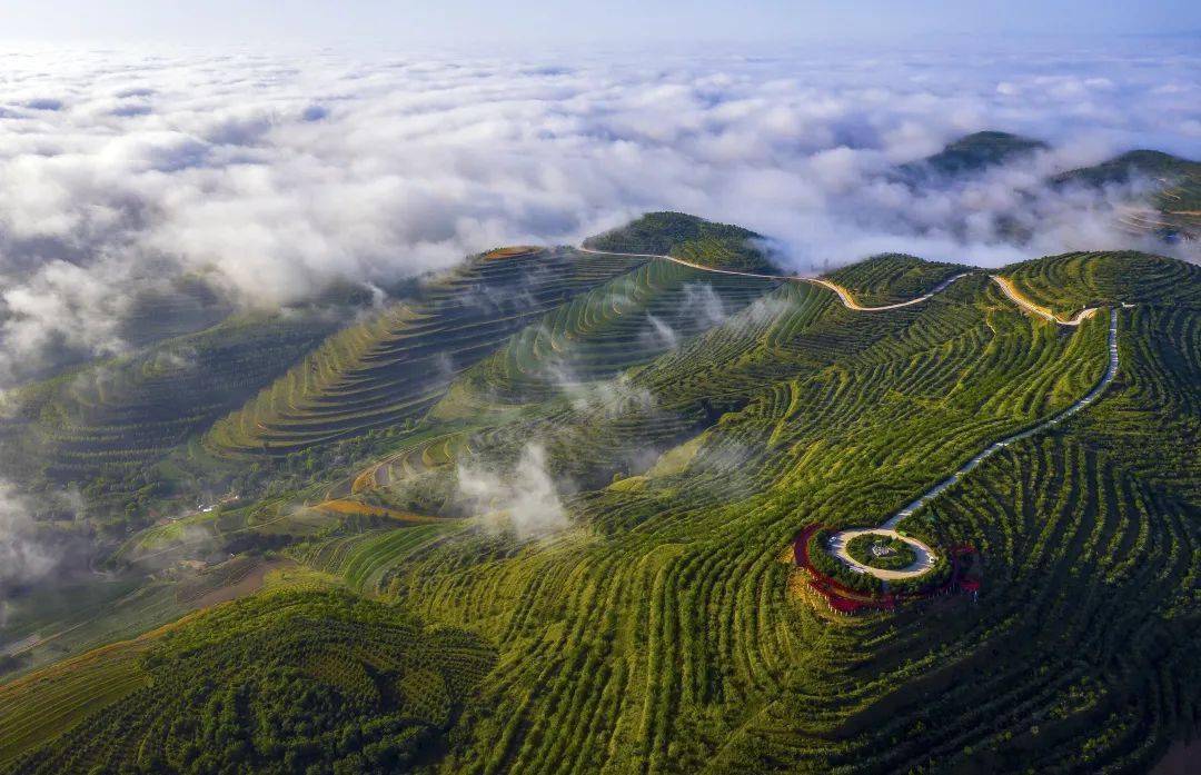 固原梯田分布于宁夏南部六盘山区,始于上世纪60年代,是当地群众坚持战