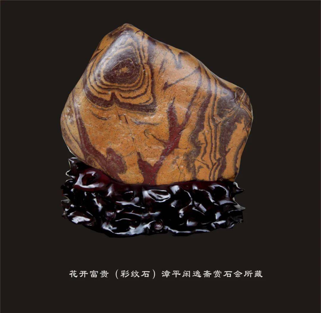 收藏李纯文 收藏郑明德 收藏智者 蜡石 陈永凤收藏#漳平的奇石收藏