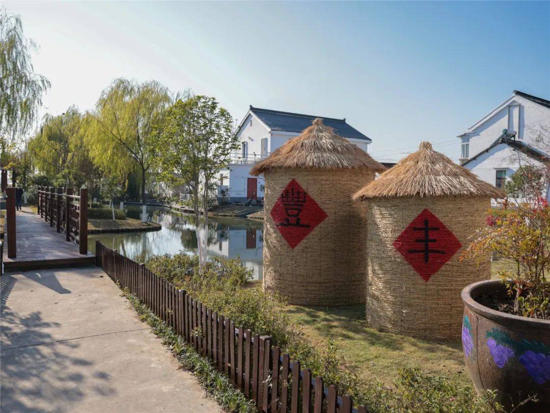 上海嘉定徐行镇:着力打造中国式现代化乡村振兴徐行样板_建设_发展