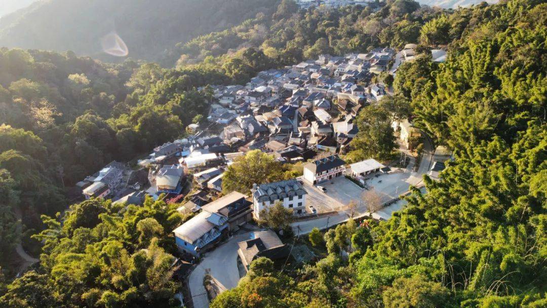 【辉煌七十载 建功新时代】西双版纳傣族自治州建州70周年村寨巡礼(7)