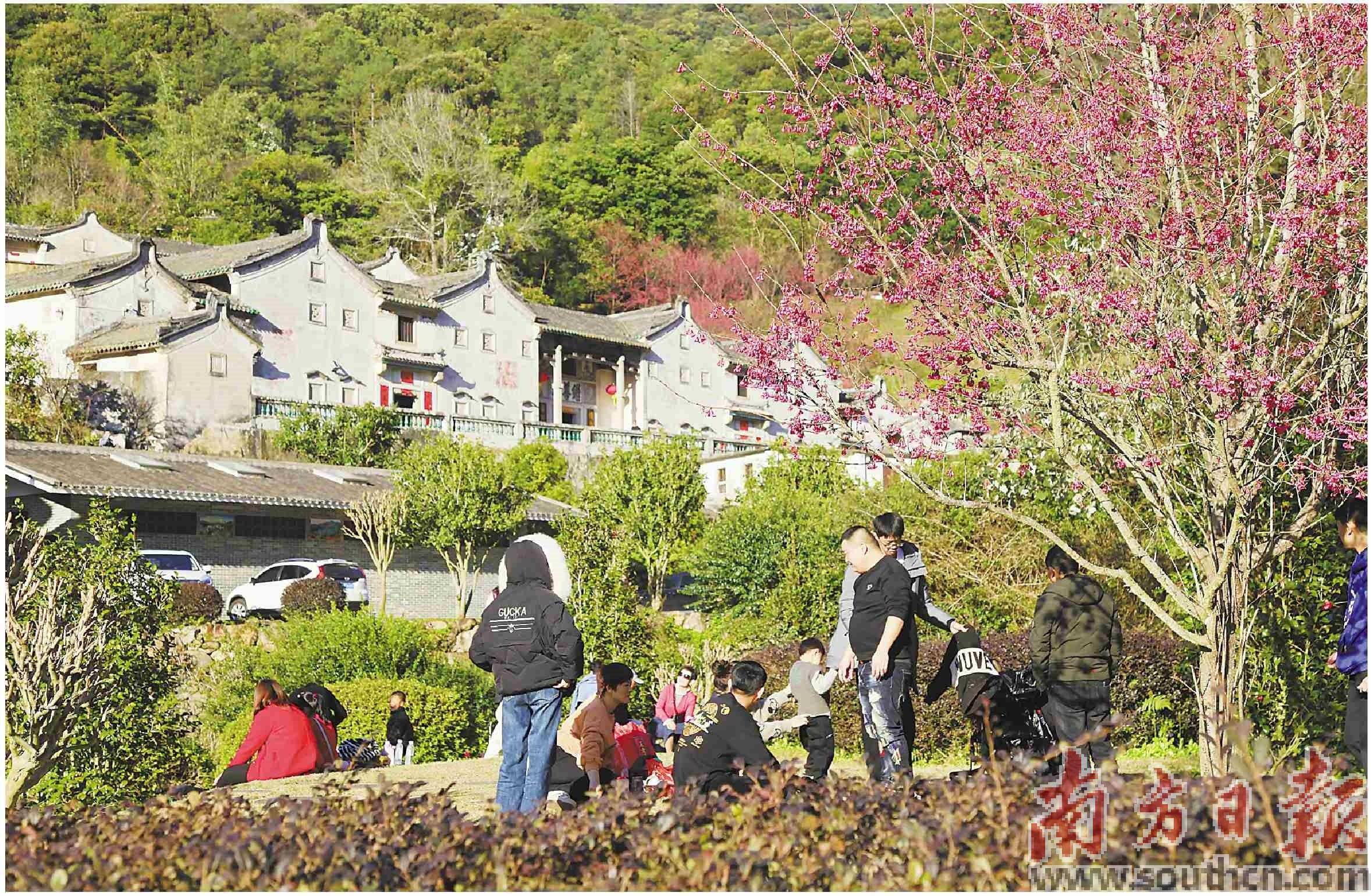 兔飞猛进 新春旅游“开门红”_游客_景区_梅州