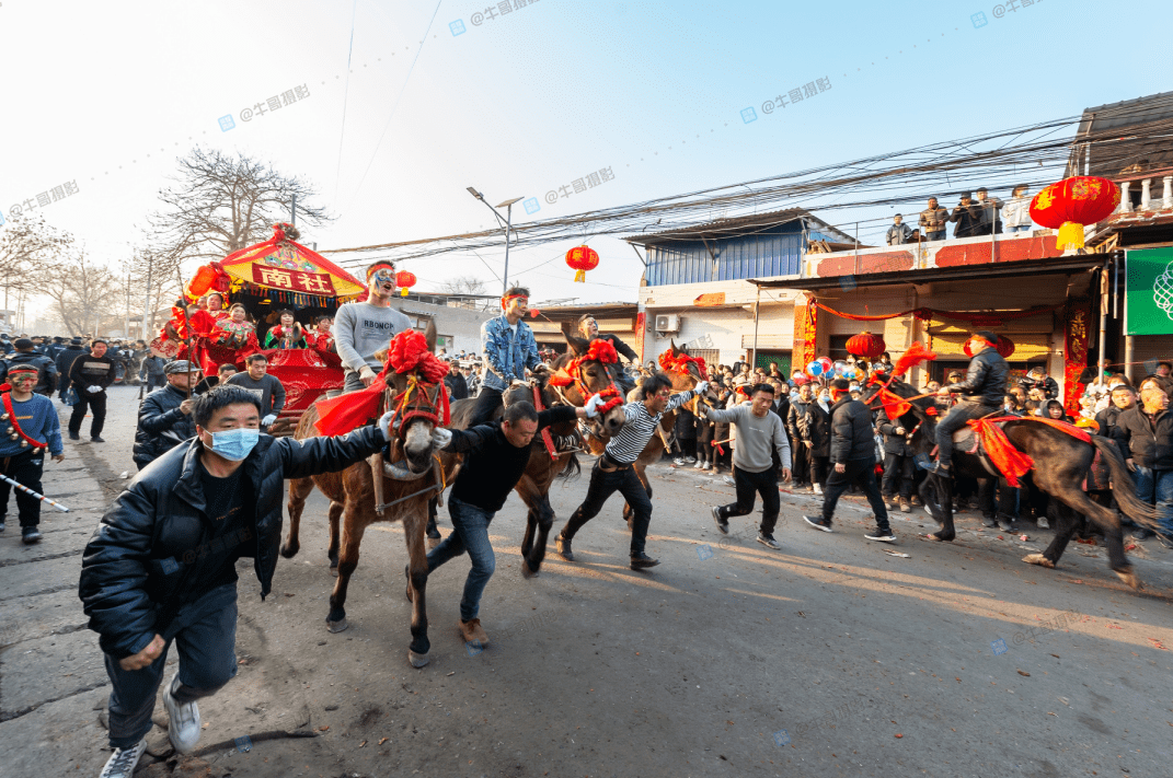 渭南大荔县阿寿村:社火跑骡车闹元宵,传承非遗风采_活动_文革_百姓