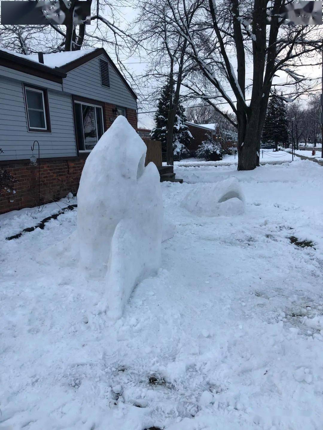 暴风雪过后美国一位艺术老师在自家前院创造出一只鲨鱼雪雕